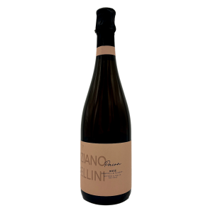 Spumante Metodo Classico Pas Dosé Rosé "Paion" - Tiziano Bellini